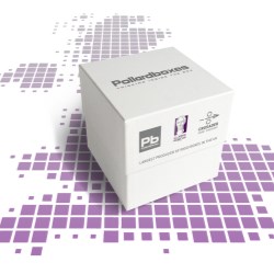 Pollard expands with Clarke Rubicon acquisition